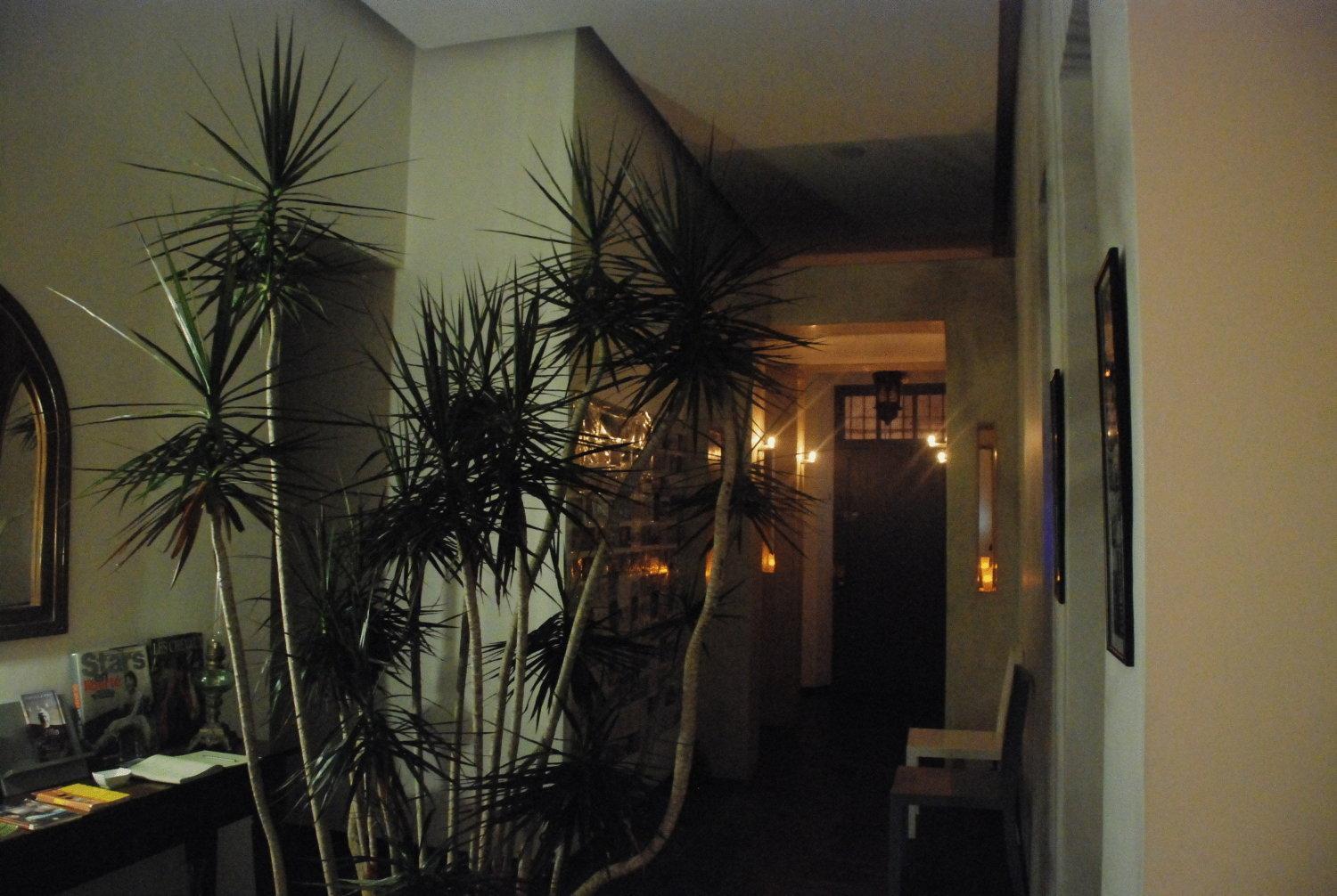 Riad La Villa & Spa El Jadida Dış mekan fotoğraf